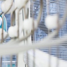 зъболекар в софия